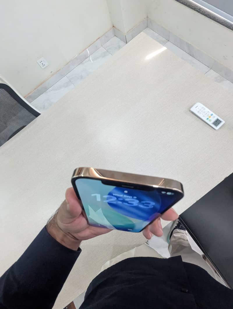 Apple iPhone 12 Pro Max 1