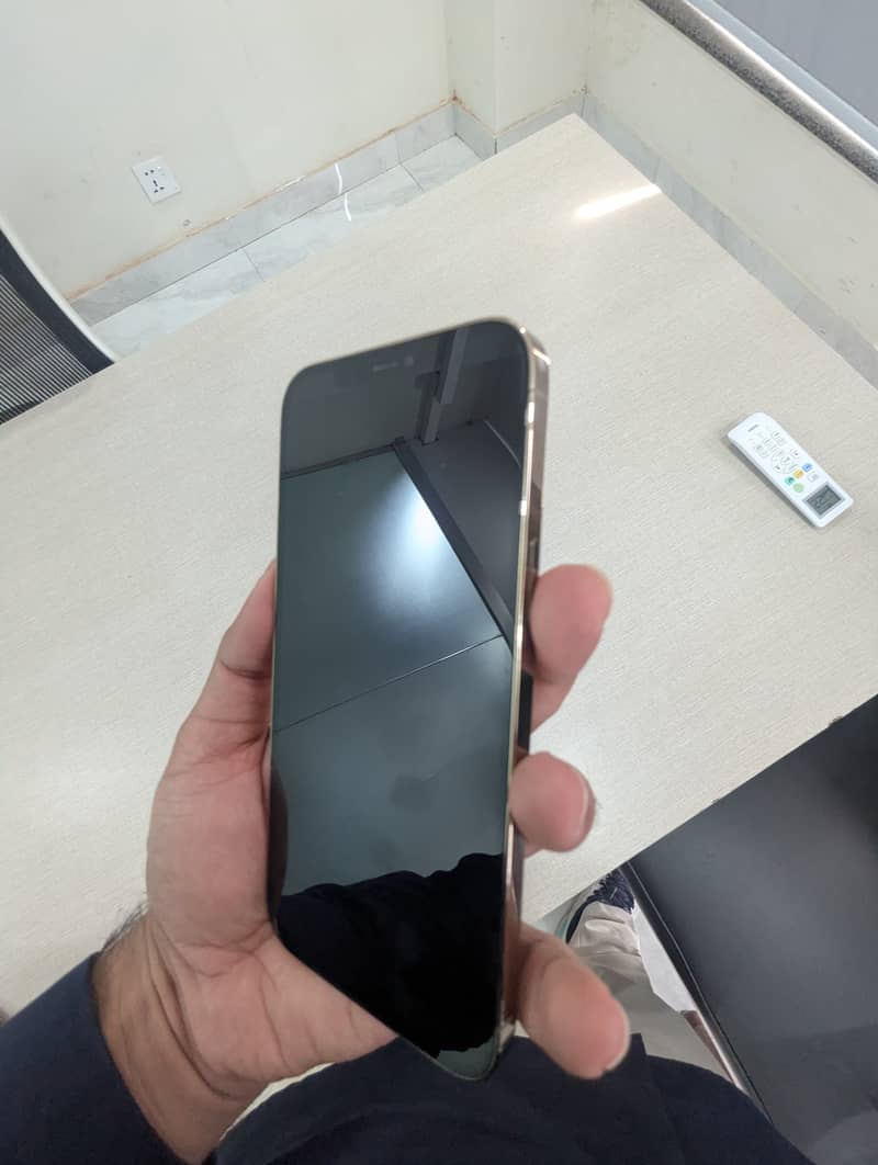 Apple iPhone 12 Pro Max 2