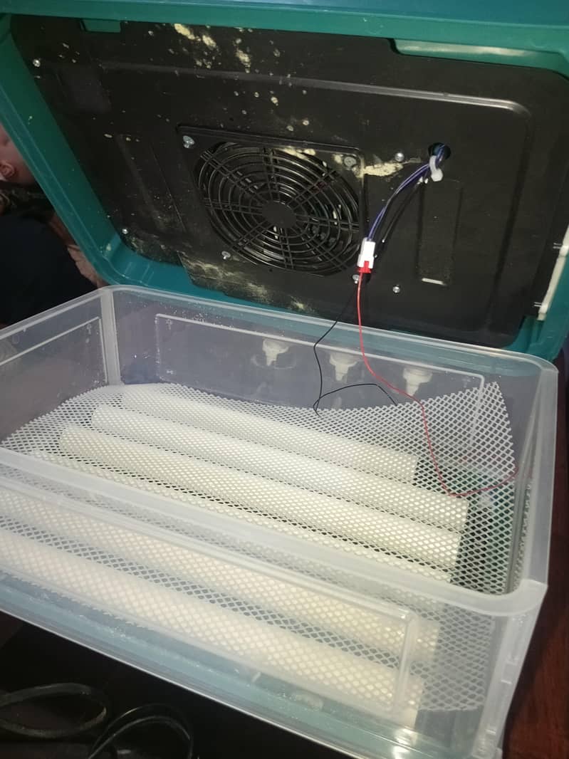 incubator 0