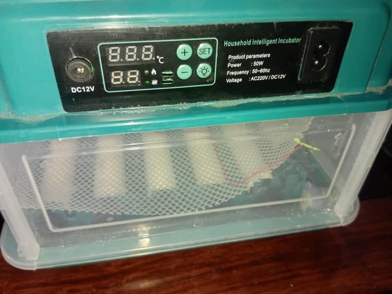 incubator 1