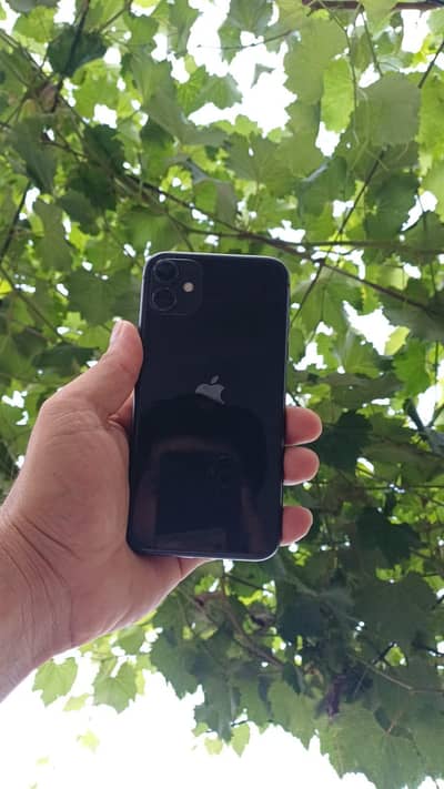 iphone11