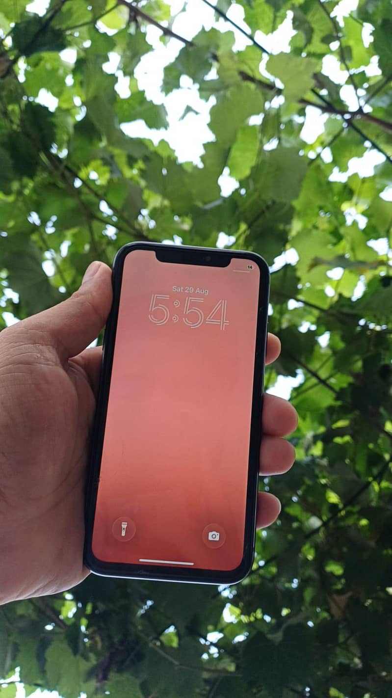 iphone11 1
