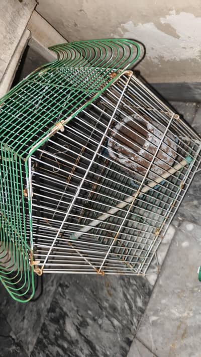 cage for sale