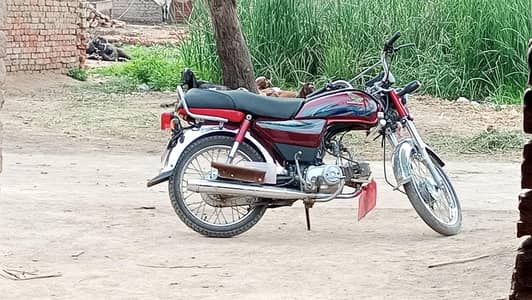 cd70 honda