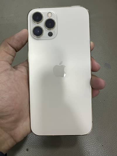 12 pro max non pta