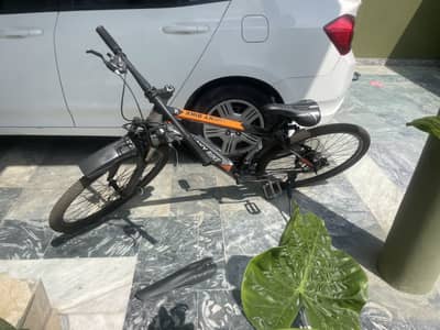 Bicycle with gears