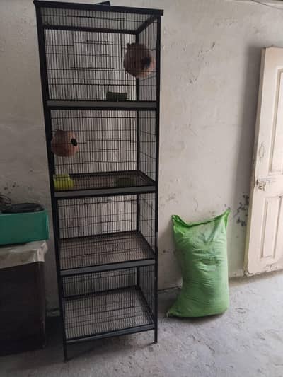 pinjra for sale