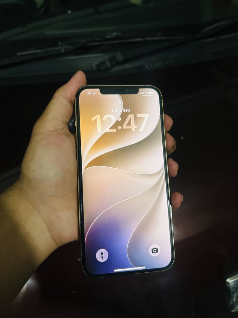 Apple iPhone 12 Pro Max 0