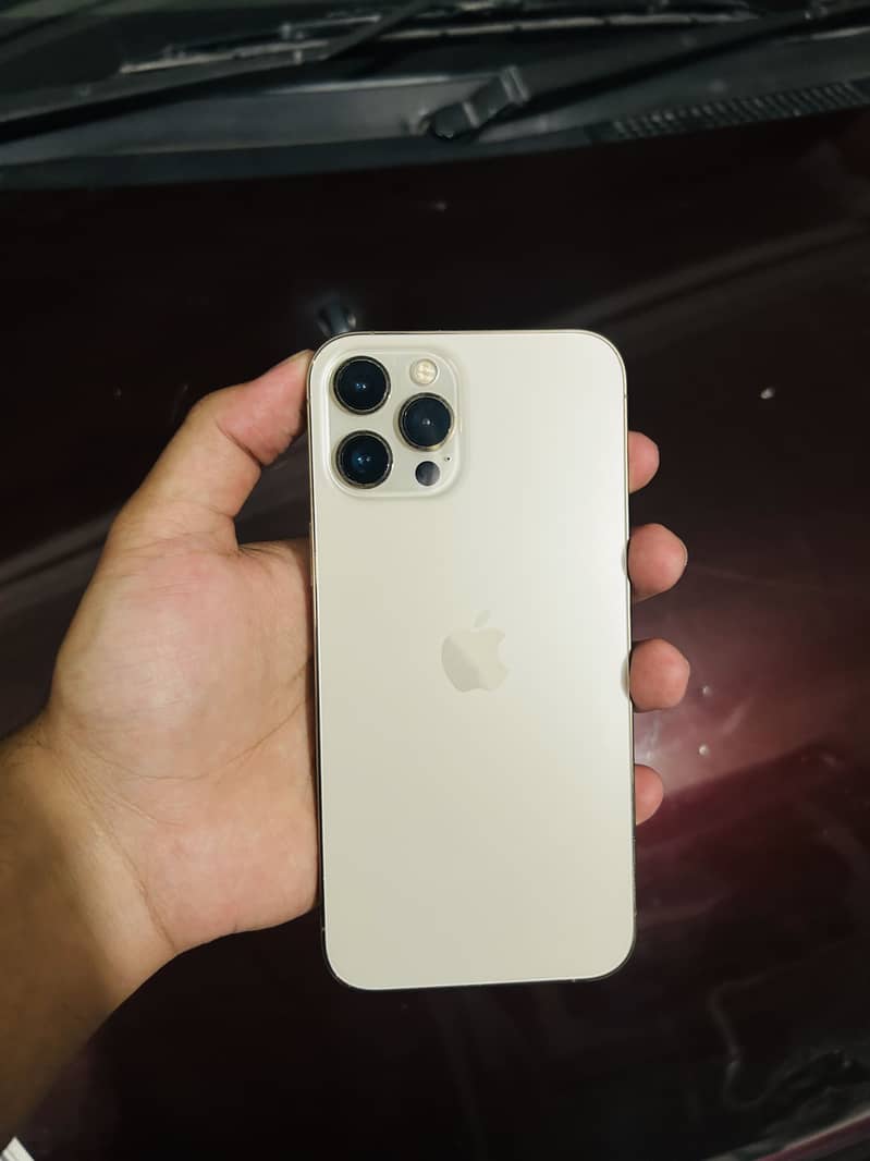 Apple iPhone 12 Pro Max 1