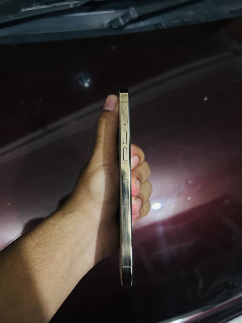 Apple iPhone 12 Pro Max 3