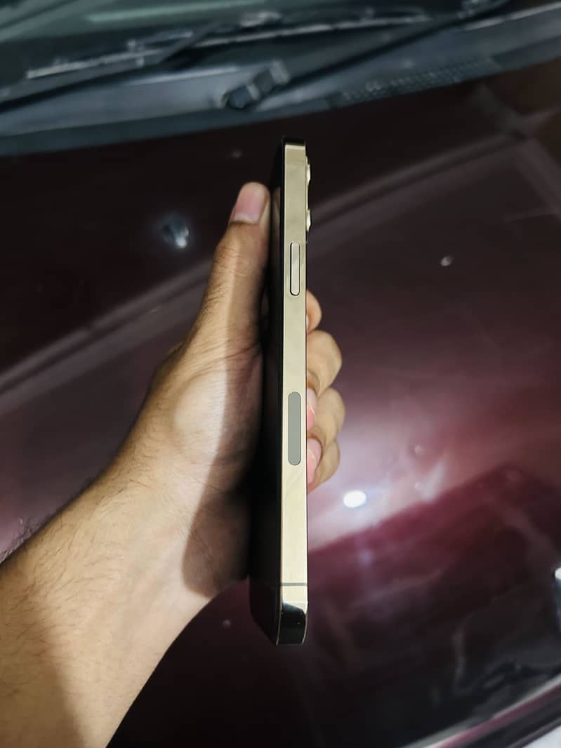Apple iPhone 12 Pro Max 5