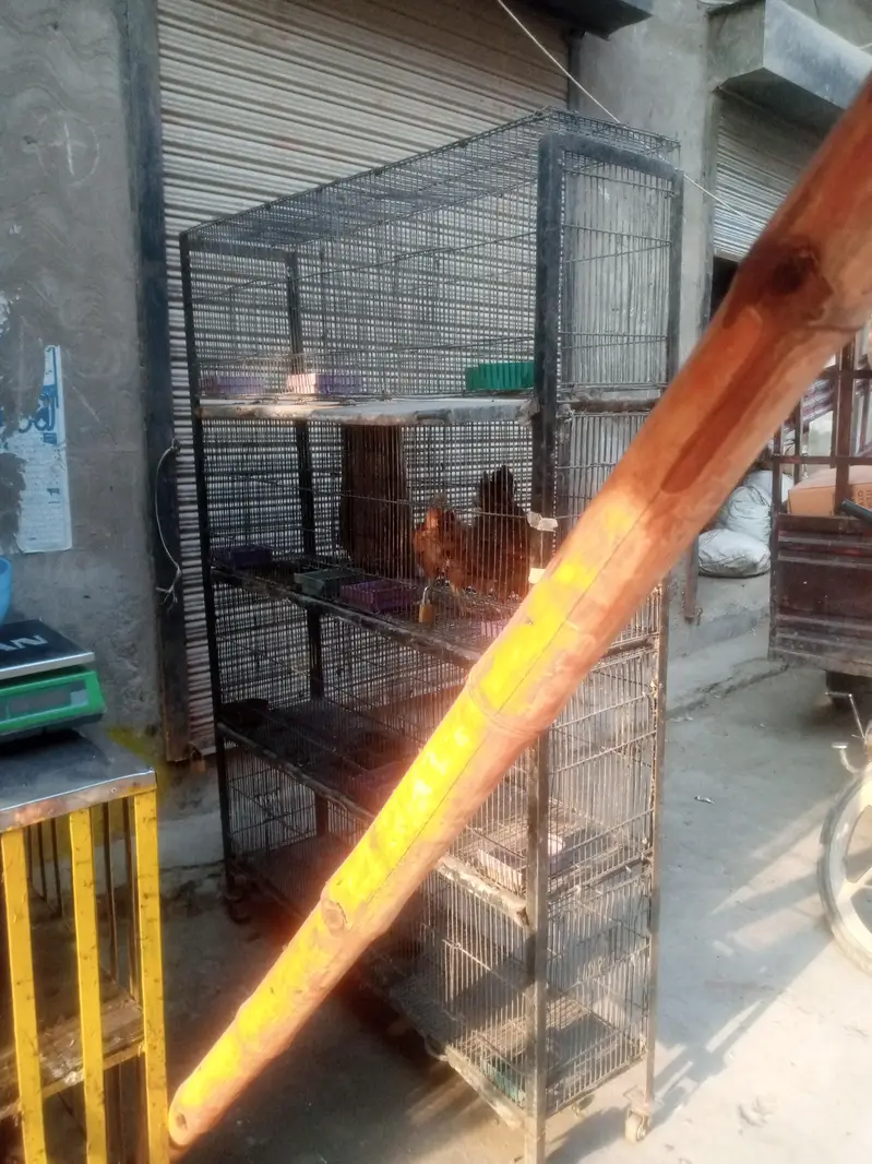 Birds & Pigeon cage — photo 4