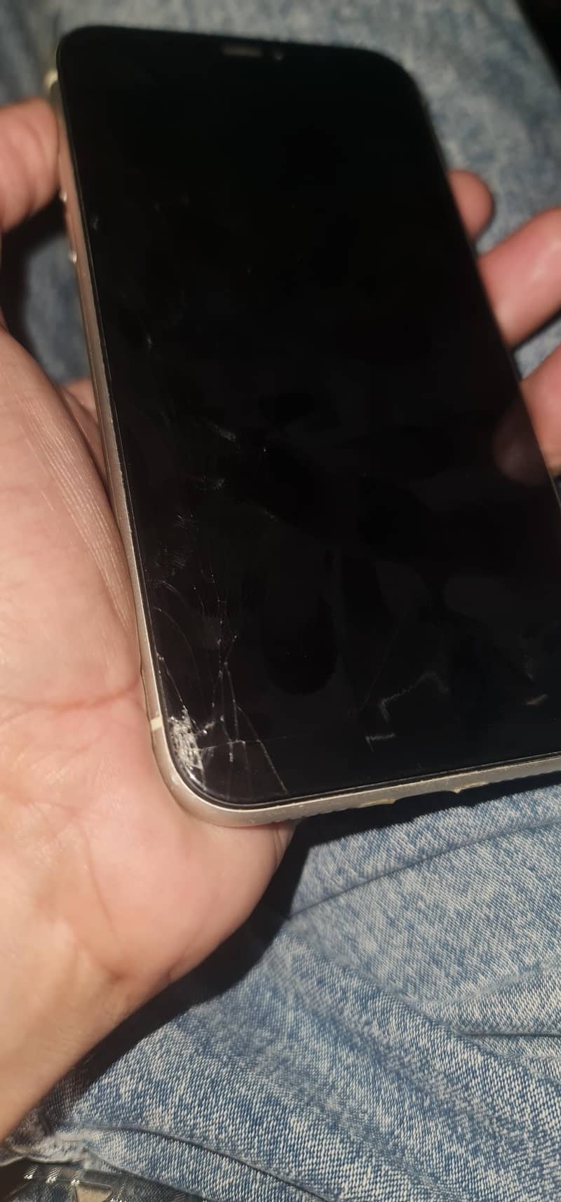Apple iPhone 11 4