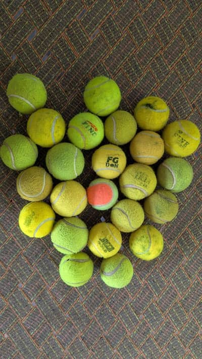 Cricket balls