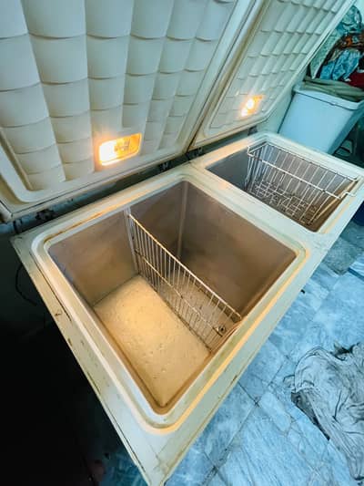 waves deep freezer