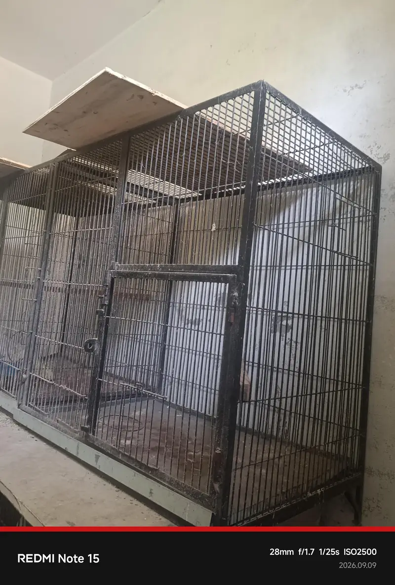Double Cage for sale | Pure Iron — photo 2