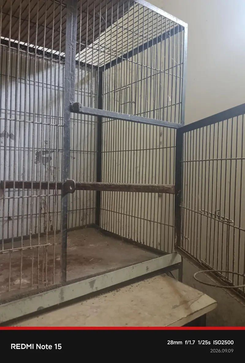 Double Cage for sale | Pure Iron — photo 4