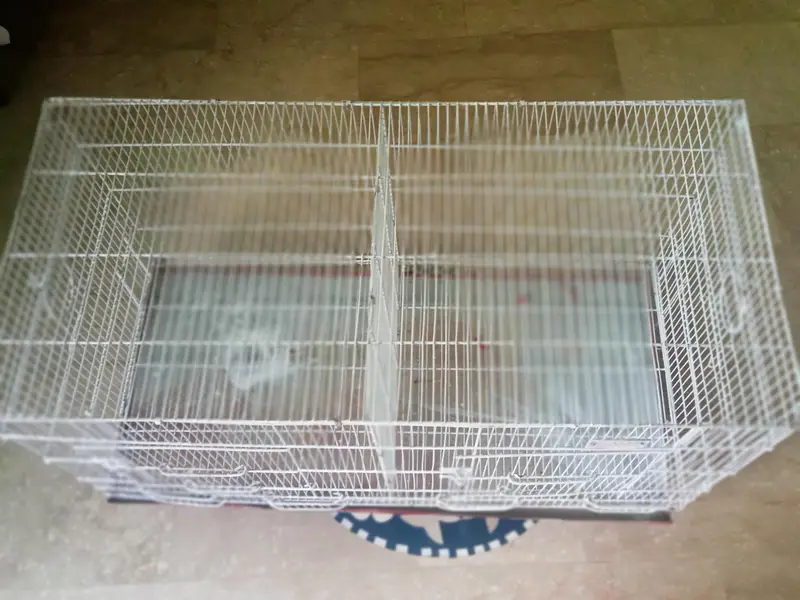 double  big cage for urgent sale