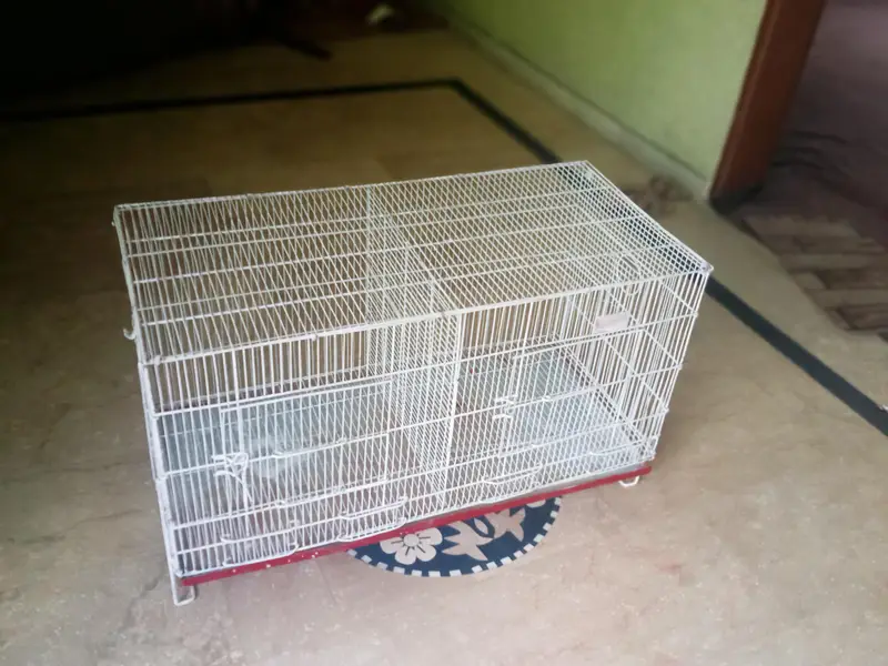 double  big cage for urgent sale — photo 2