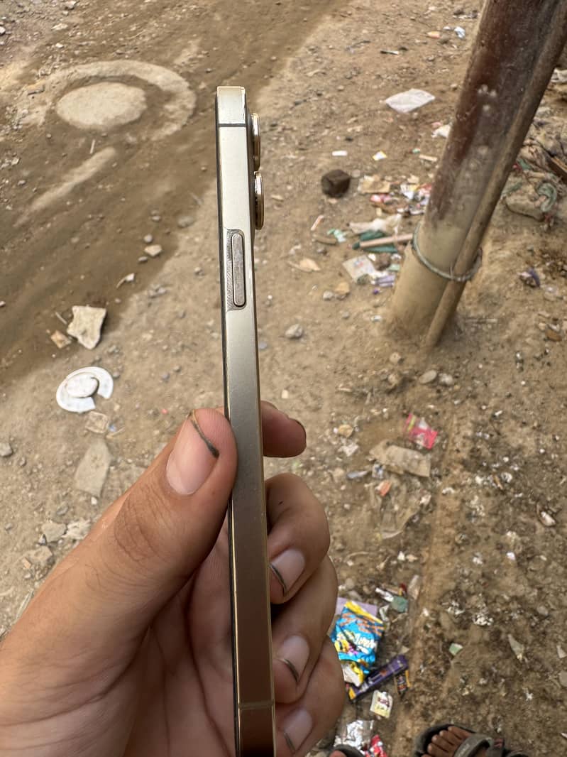 Apple iPhone 12 Pro Max 2