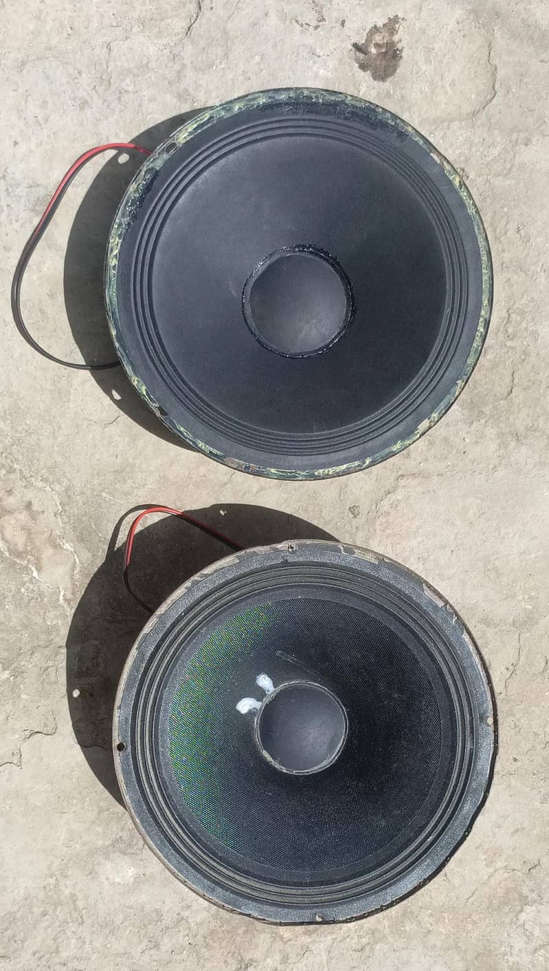 speaker 0