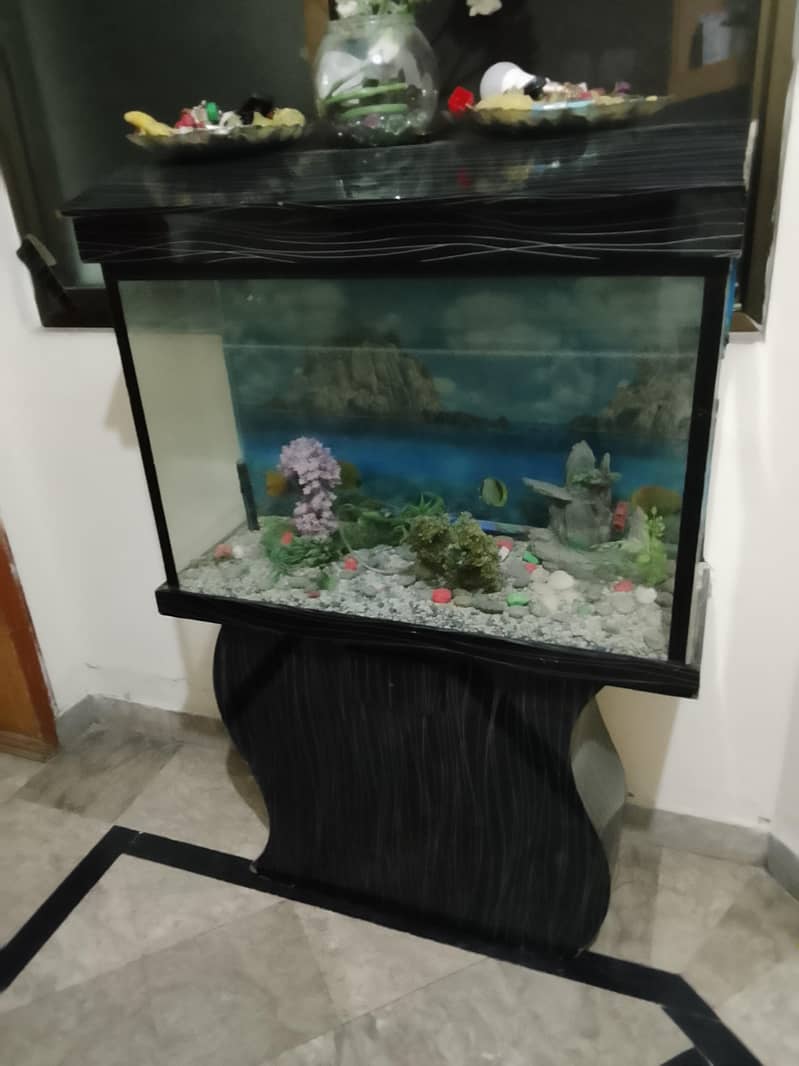 fishing aquarium 0