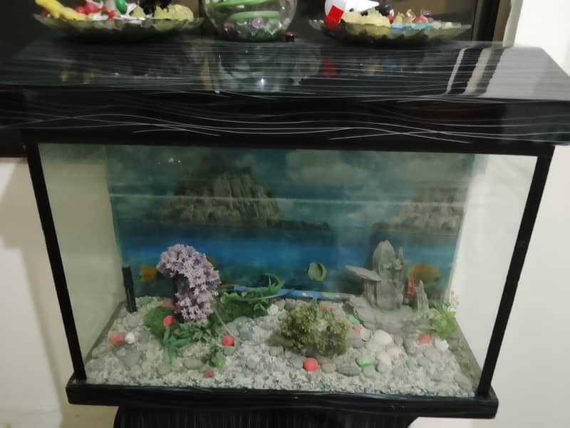 fishing aquarium 1