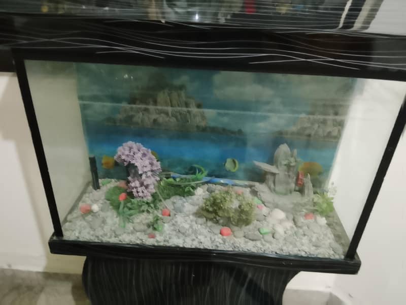 fishing aquarium 2