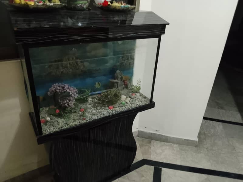 fishing aquarium 3