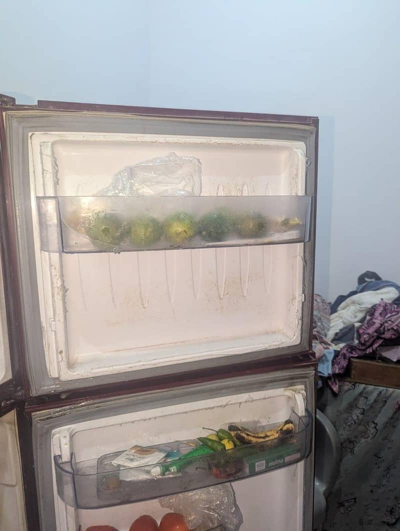 orient refrigerator 6