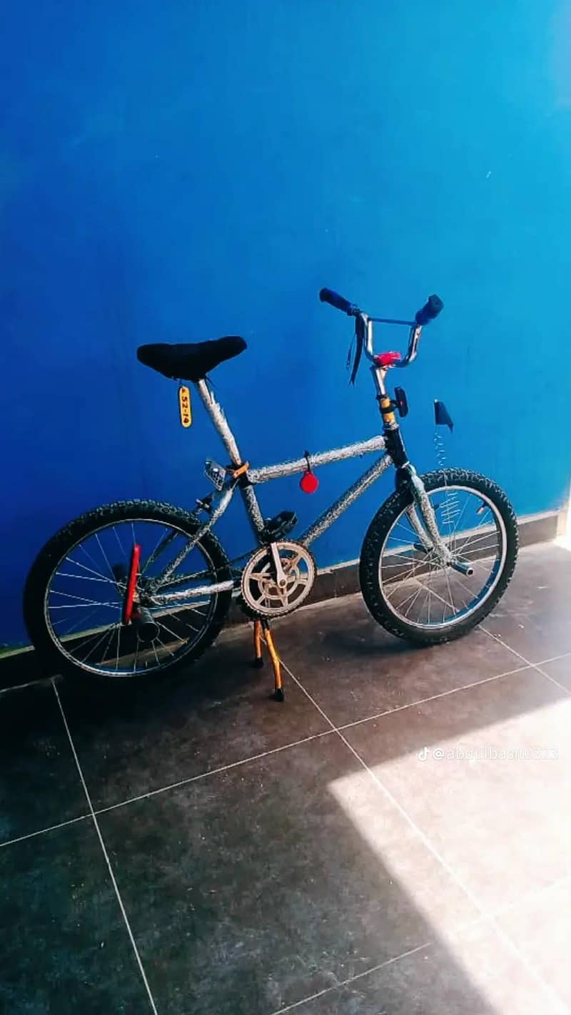 bicycle 1