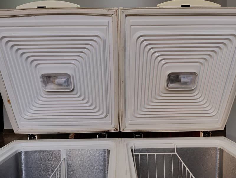 Waves [Double Door Deep Freezer] 5