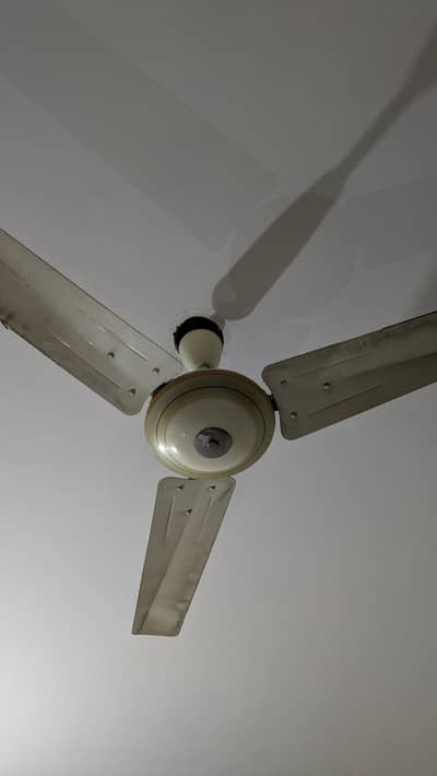 3 GFC fans for sale | Copper Quality