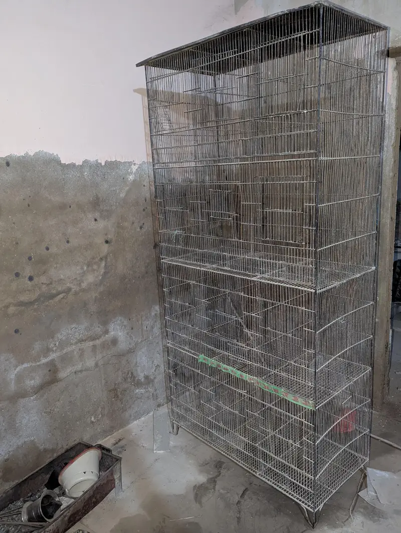 cage for birds — photo 2