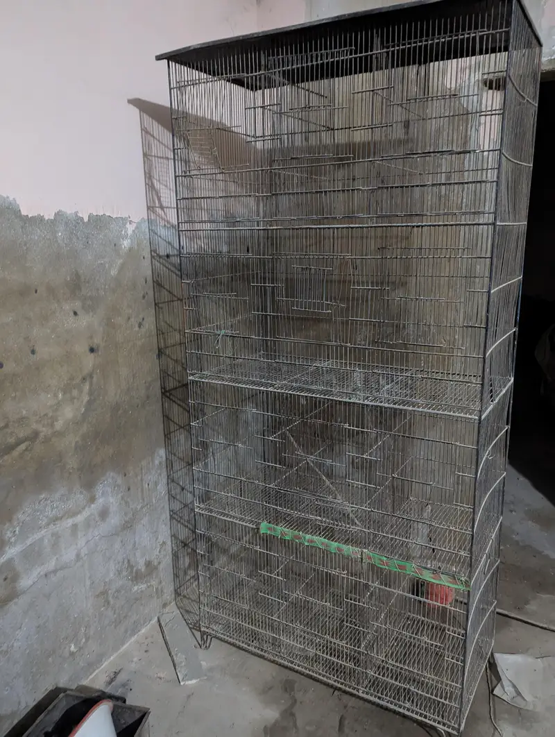 cage for birds — photo 3