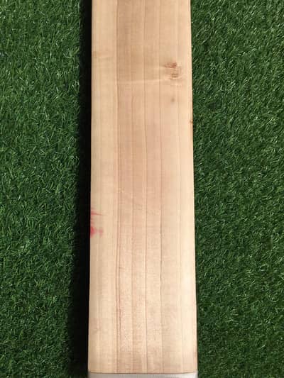 Cricket Bat Hardball