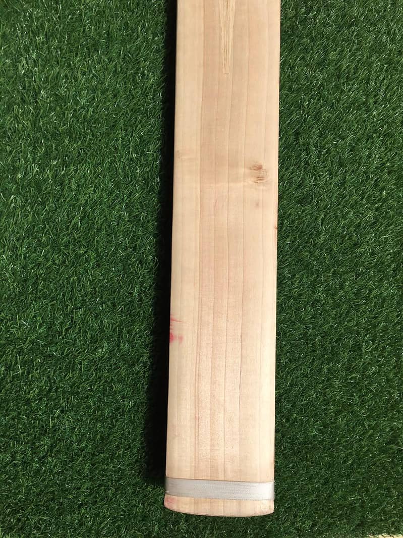 Cricket Bat Hardball 1