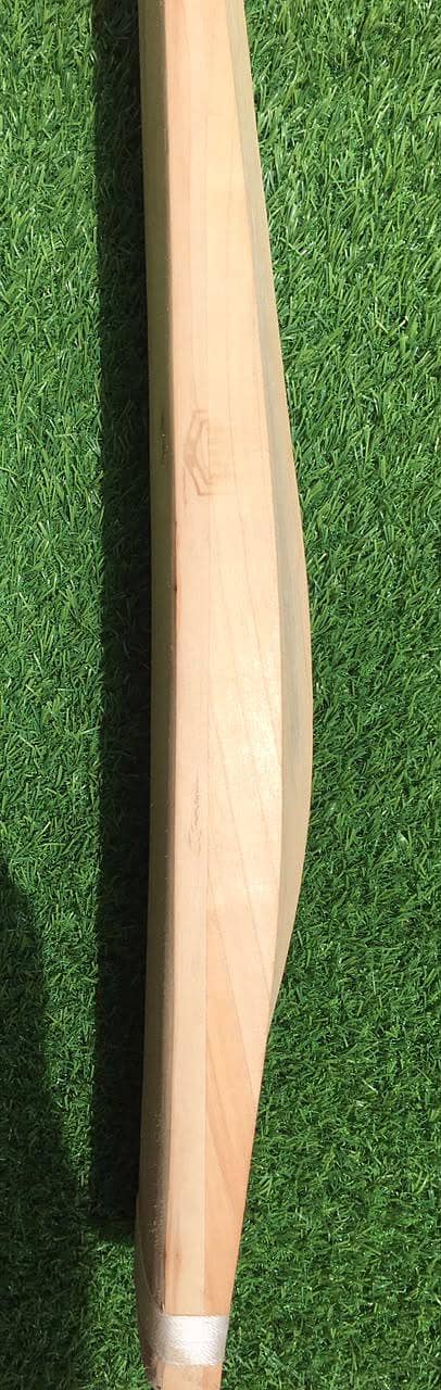 Cricket Bat Hardball 3