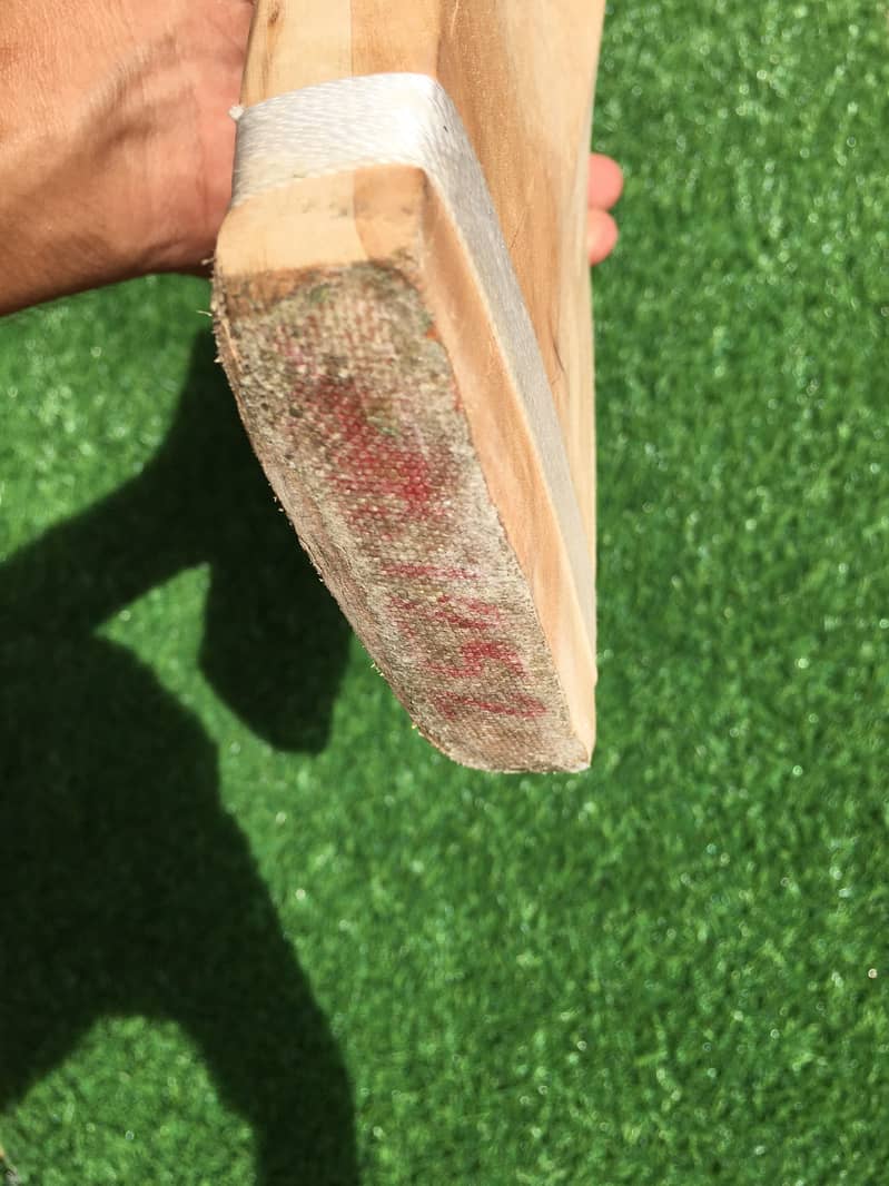 Cricket Bat Hardball 4