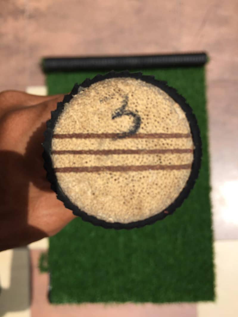 Cricket Bat Hardball 5