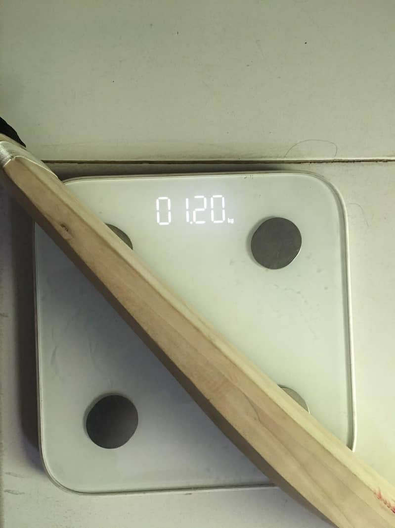 Cricket Bat Hardball 6