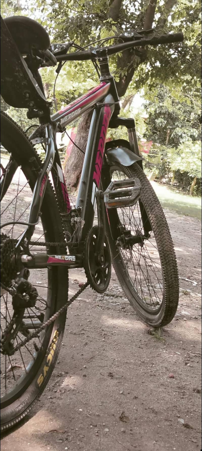 Bicycle 7