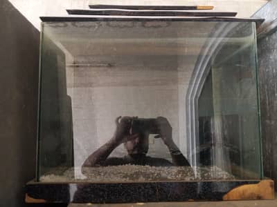 aquarium For Sale