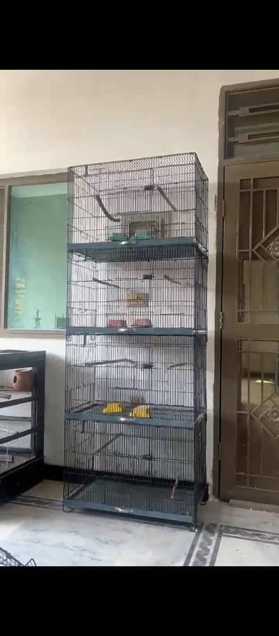 parrot cage  single piece 3000