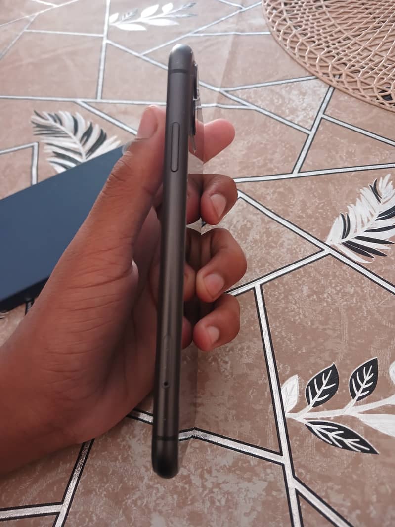 Apple iPhone 11 0