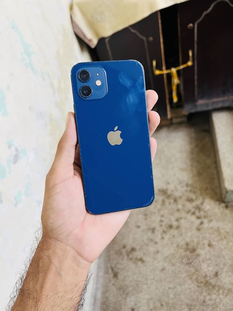 Apple IPhone 12 0