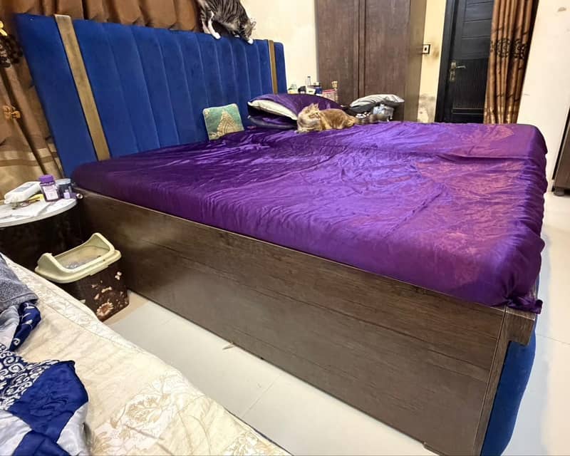 Cushion bed 0