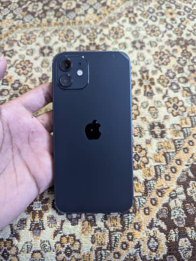 Apple iPhone 12 Water Pack