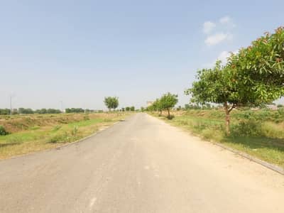 Affordable Residential Plot Of 5 Marla Is Available For sale