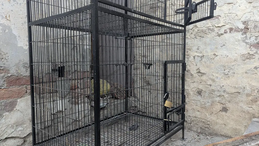 2- floor iron cage available for sale — photo 2
